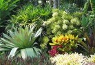 South Golden Beachsustainable-landscaping-3.jpg; ?>